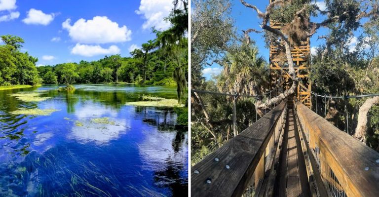 2026 Bucket-List Hikes In Florida, No Permits Required