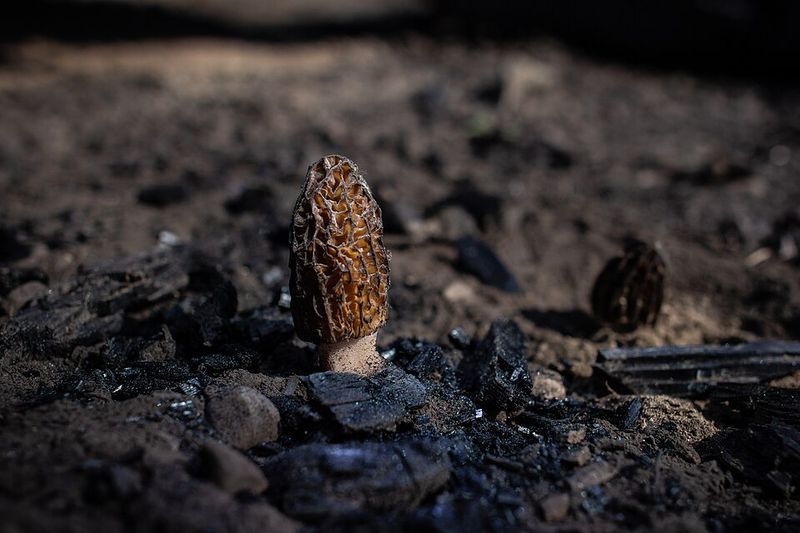 Catch The Warm-Wet Window