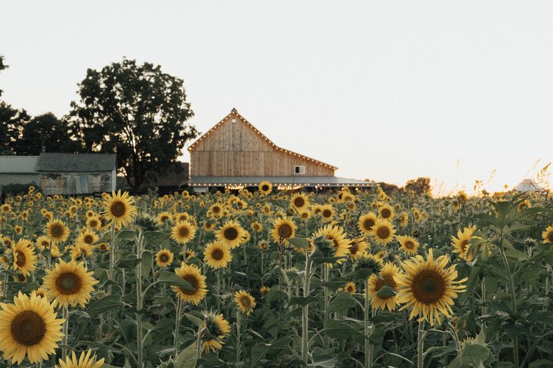 22 Acres Farm, Newark