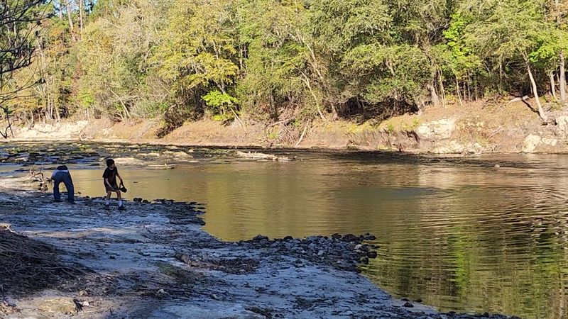 Wildlife Encounters You Won't Forget