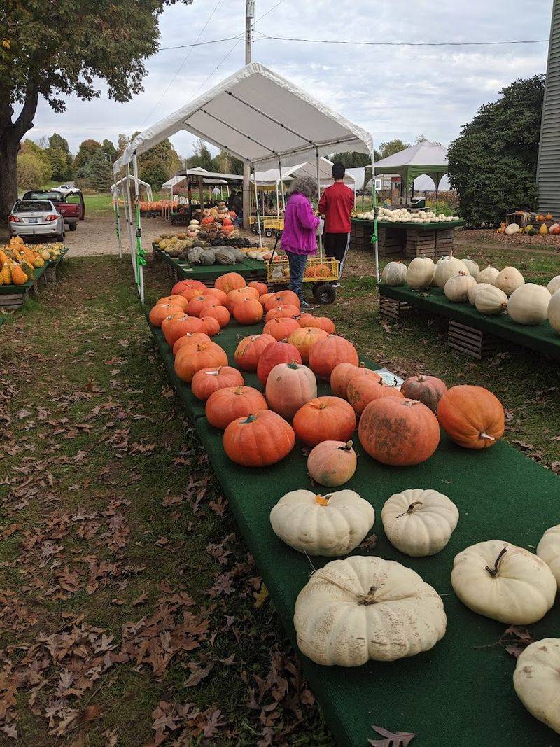 29th Street Farm Stand, Allegan