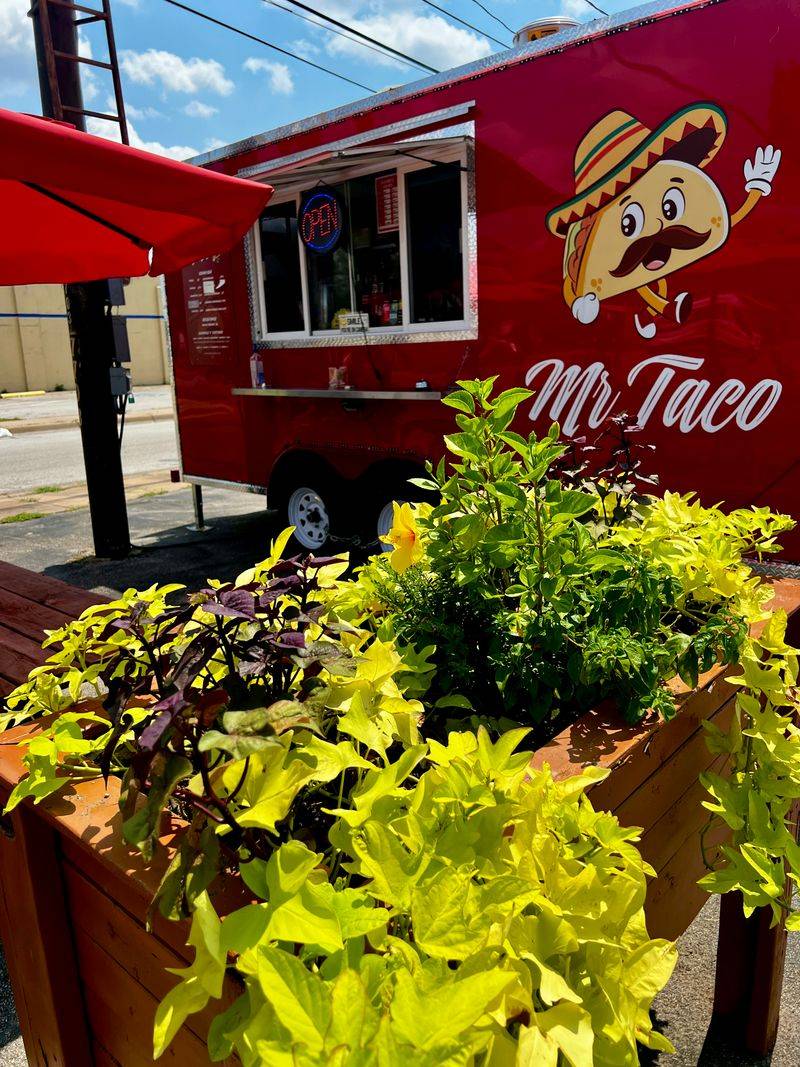 Mr Taco DFW
