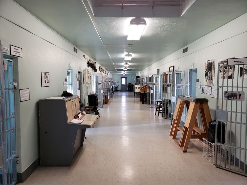 30 Cell Exhibits That Each Tell a Different Chapter