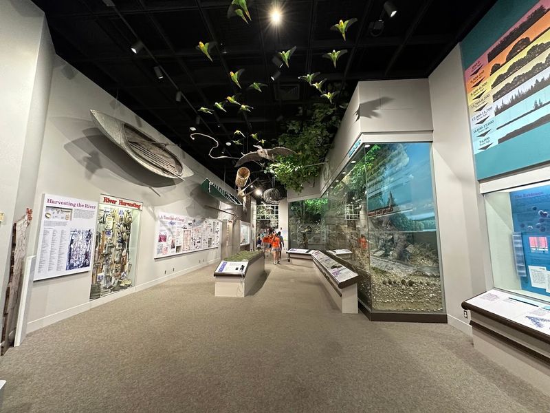 The Natural History Floor 