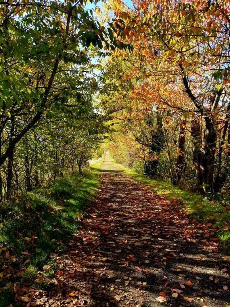 340 Acres Of Trail-Ready Terrain