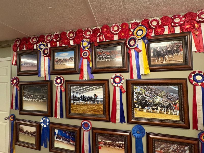 36 World Championship Titles Put This Farm In A League Of Its Own