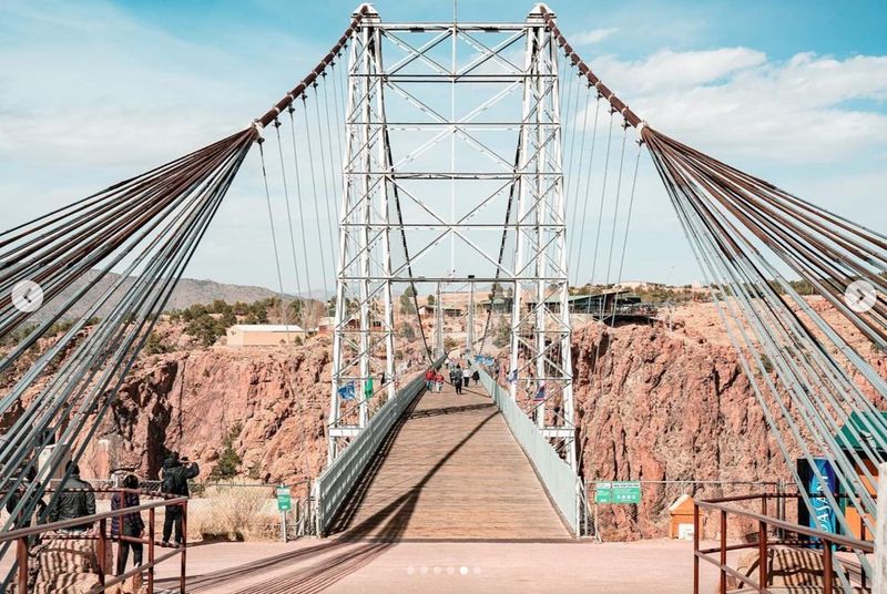 Why the Raptor Show Keeps Stealing the Spotlight