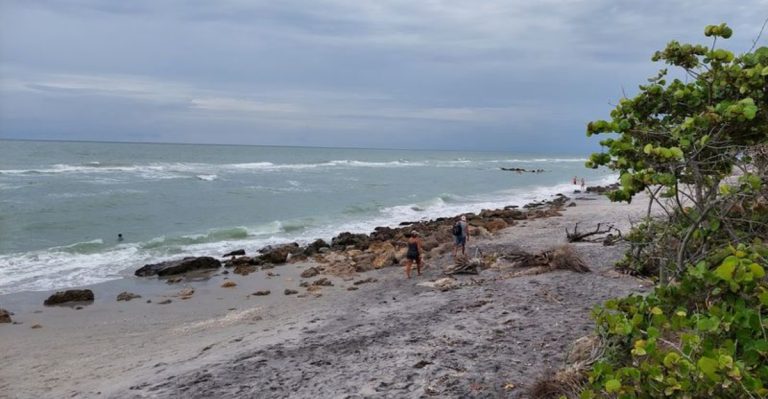 5 Florida Beaches Where You’re Most Likely To Find Shark Teeth And Take Home A Rare Treasure