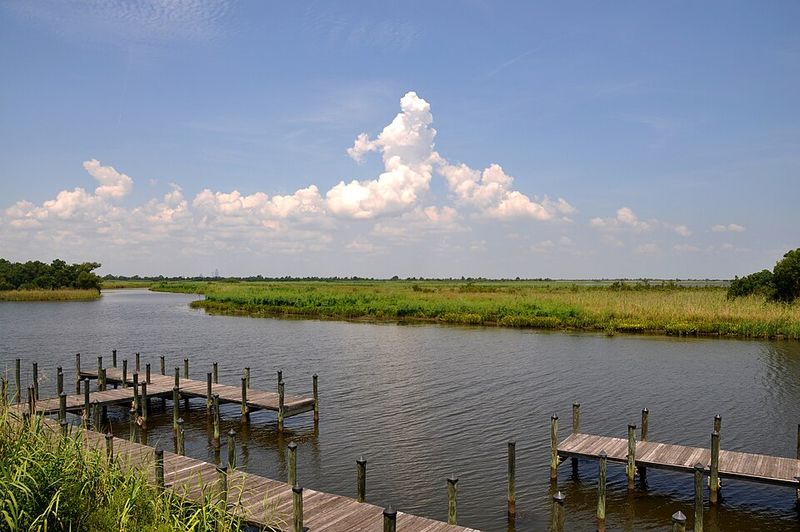 5 Rivers Delta Resource Center, Spanish Fort 5 Rivers Delta Resource Center, Spanish Fort