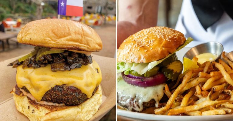 50 Must-Try Burger And Fries In Every U.S. State