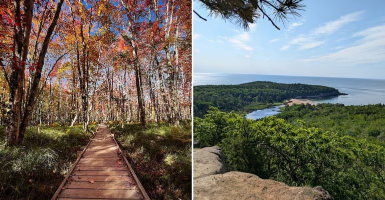7 Beautiful Things To See And Do In The Wild Gardens Of Acadia