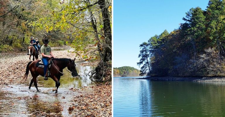 7 Dreamy Places To Ride Horses In Arkansas, From Forest Trails To Mountain Views