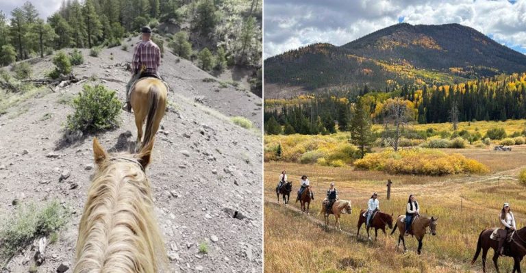 7 Dreamy Places To Ride Horses In Colorado (Yes, Including The Mountains)