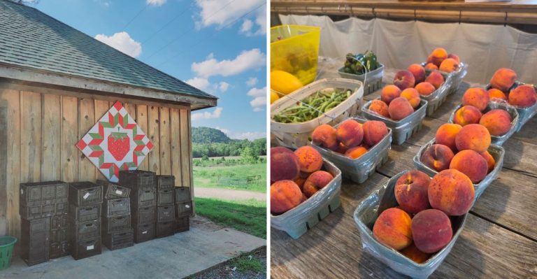 7 Farm Stands In Arkansas That Are Totally Worth A Summer Drive