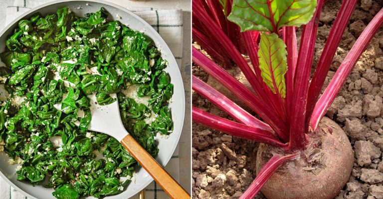7 Foods That Can Trigger Kidney Stones & 7 That Help Prevent Them