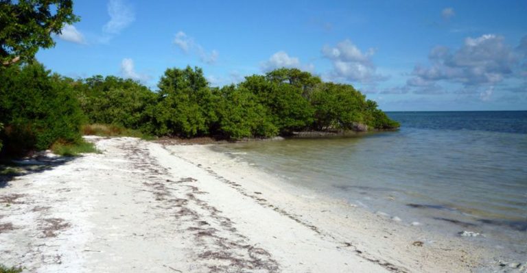 7 Hidden Beaches In Florida Where Locals Spend Labor Day