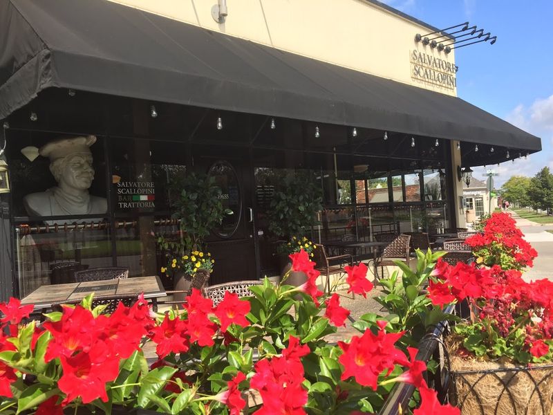 Salvatore Scallopini