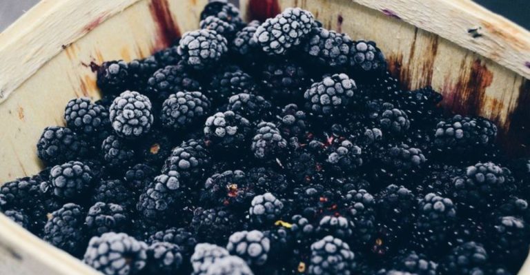 7 Tips On How To Thoroughly Clean Blackberries Without Making Them Mushy