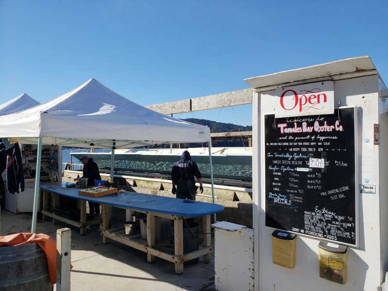 8. Tomales Bay Oyster Company - Marshall, California