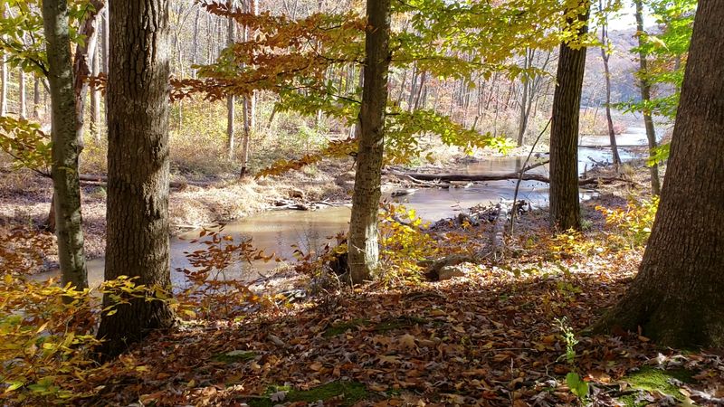 7,730 Acres Of Untamed Pennsylvania Forest