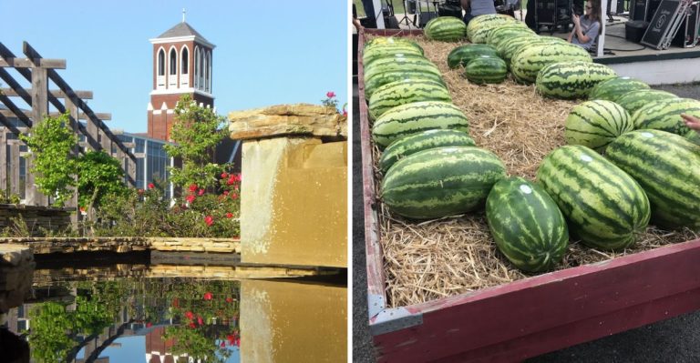 8 Arkansas Food Festivals That Locals Circle On The Calendar