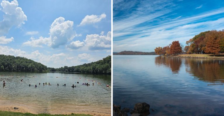 8 Arkansas Lake Beaches Where Summer Treasure Hunters Strike Gold
