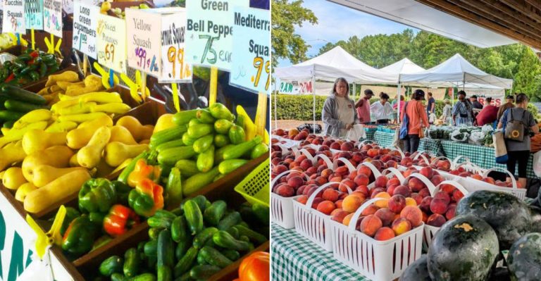 8 Best North Carolina Food Markets You Need To Visit For Local Delights