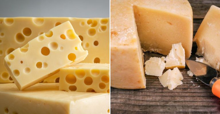8 Cheeses That Just Don’t Work In Lasagna (And 8 That Absolutely Do)