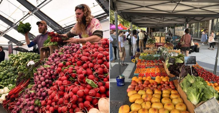 8 Farmers Markets In New York Overflowing With October Produce