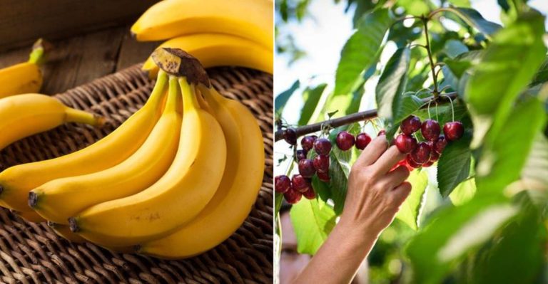 8 Fruits That Might Be A Bit Overrated (And 8 That Truly Benefit Your Health)
