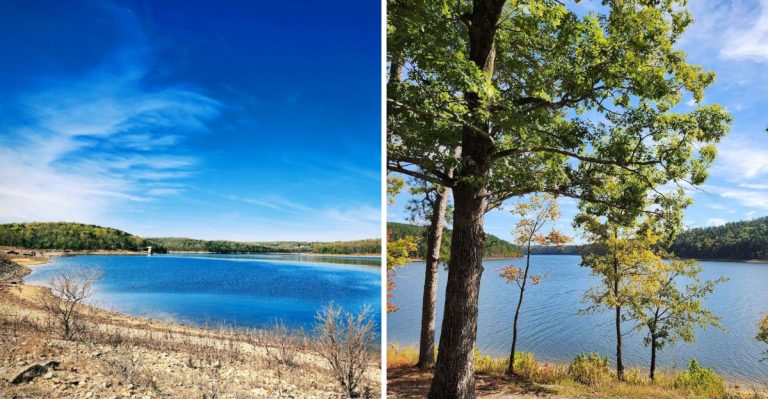 8 Hidden Arkansas Escapes That Feel Like Tropical Islands Without Leaving The State