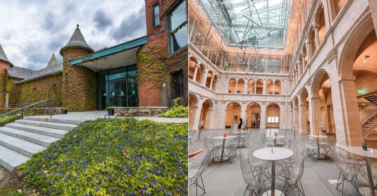 8 Museum Cafés In Massachusetts That Are Worth Visiting Even Before The Exhibits