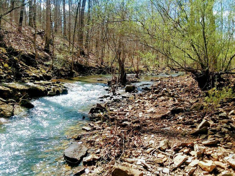 Rauchfuss Hill State Recreational Area