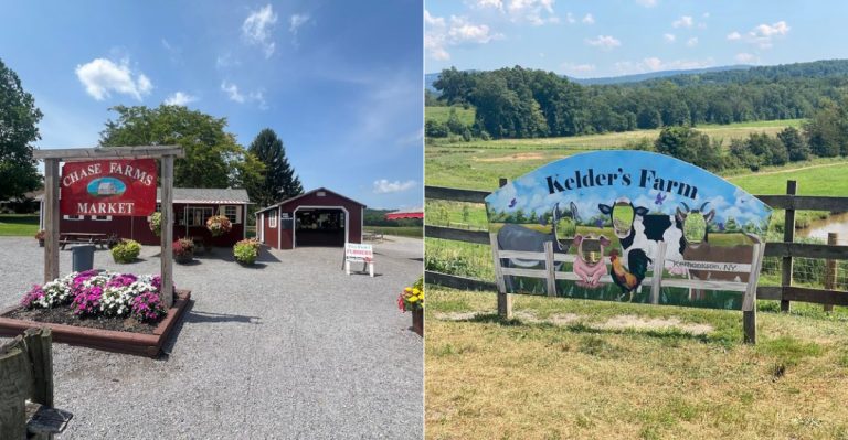 8 Roadside Strawberry Shortcake Stops In New York Worth Finding Before Summer Peaks