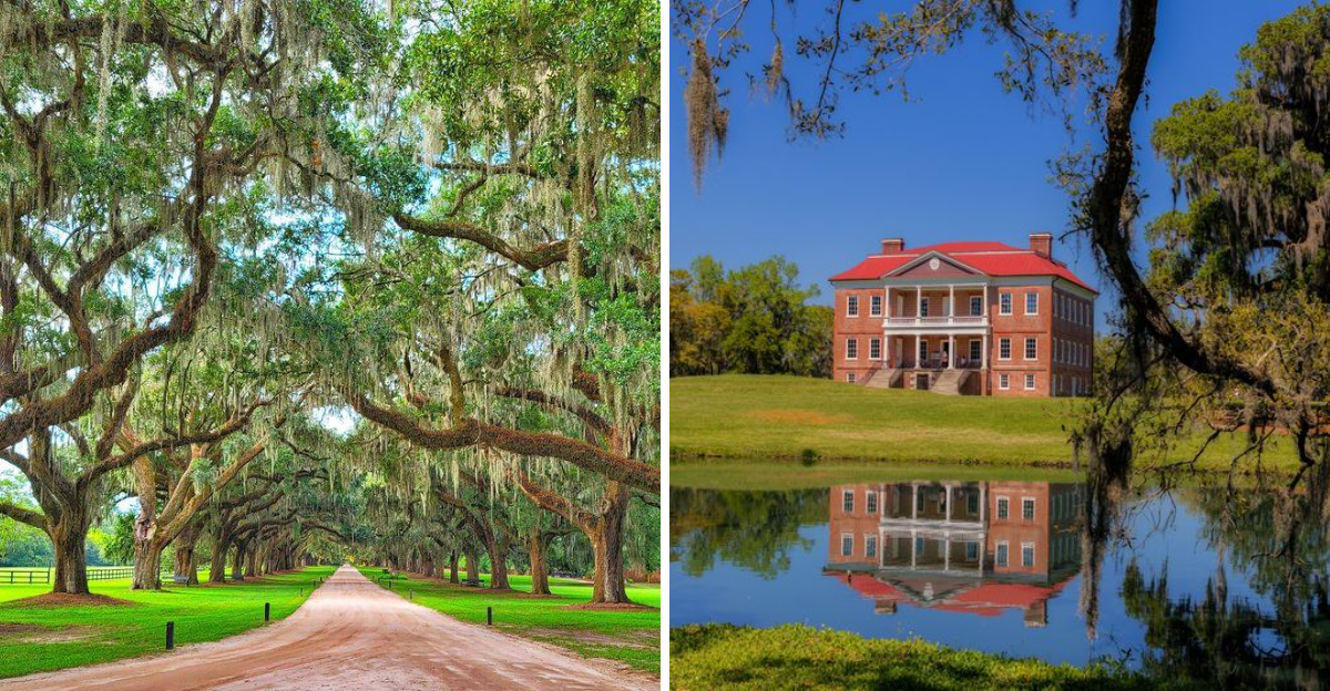 8 South Carolina Road Trips To Explore Historic Plantations