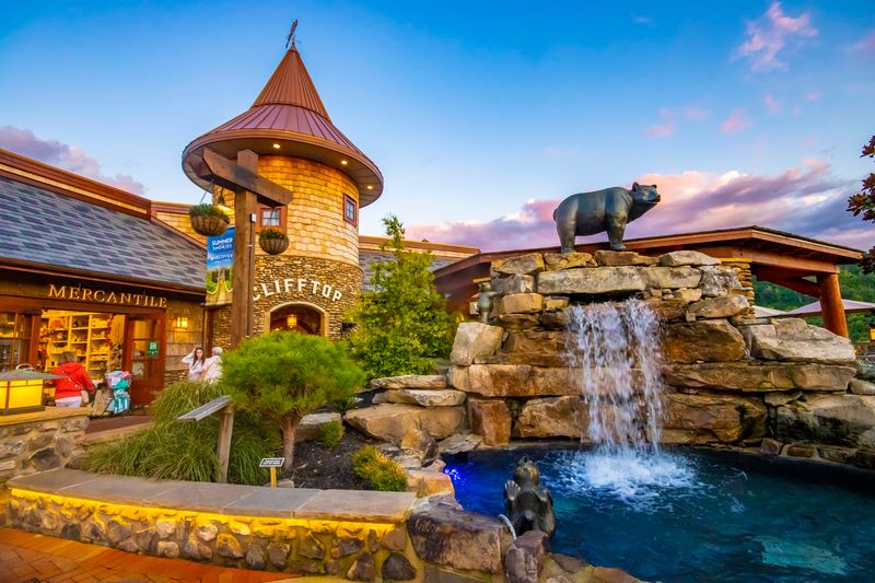 Cliff Top At Anakeesta