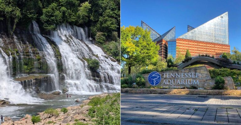 8 Tennessee Road Trip Stops That Make Summer Travel Even Better
