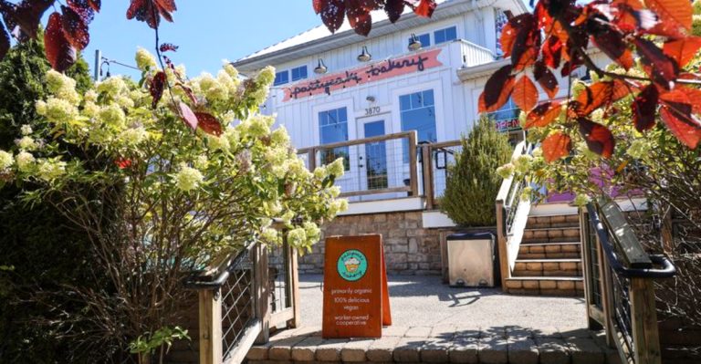 8 Vegan Dessert Spots In Ohio That Make 2026 A Little Sweeter