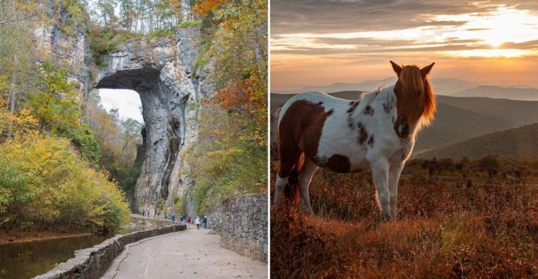 8 Virginia Day Trips That Are Perfect For A Fall Weekend Escape