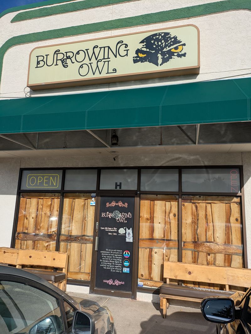 9. The Burrowing Owl, Colorado Springs