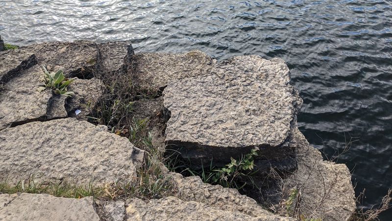 Fossils Hiding In Plain Sight 