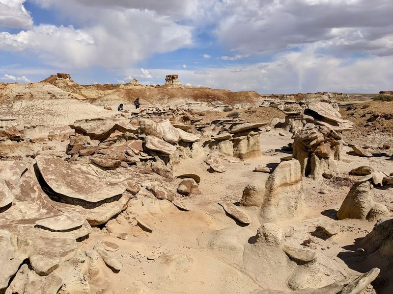 85 Million Years Underfoot