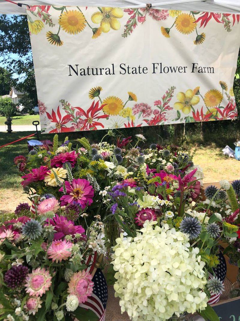 Natural State Flower Farm, Hindsville