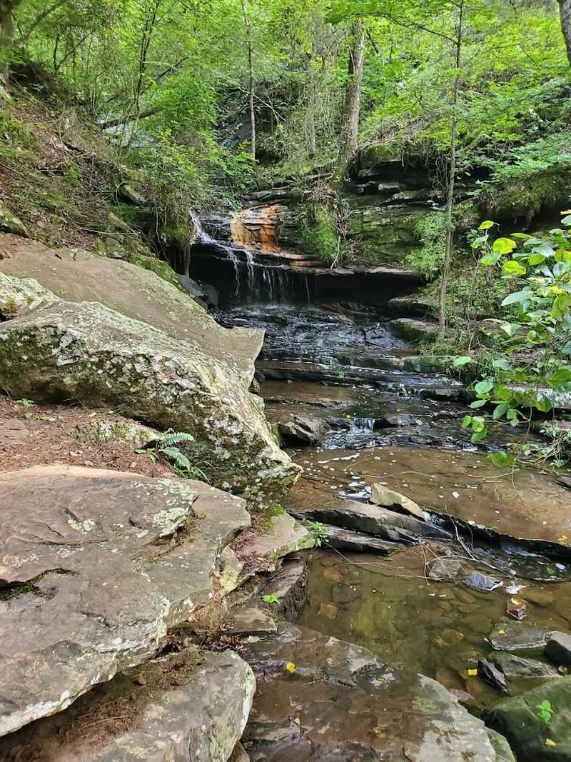 Cedar Falls Trail, Morrilton