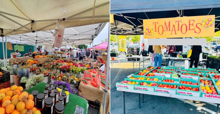 9 California Farmers Markets Bursting With Fresh Summer Flavor