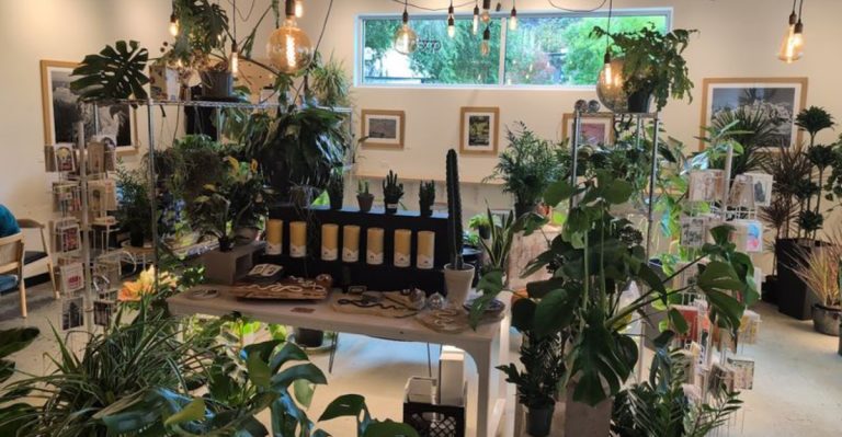 9 Colorado Garden Cafés Worth Visiting This April