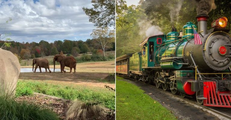 9 Family-Friendly Summer Destinations In North Carolina Everyone Will Love