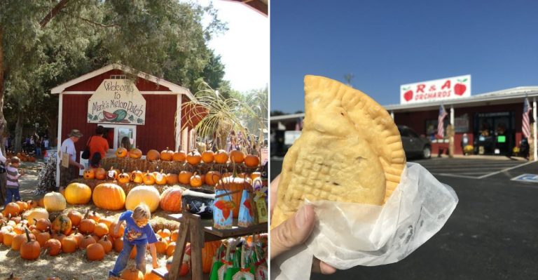 9 Georgia Produce Stands That Locals Swear Serve Better Pies Than Bakeries