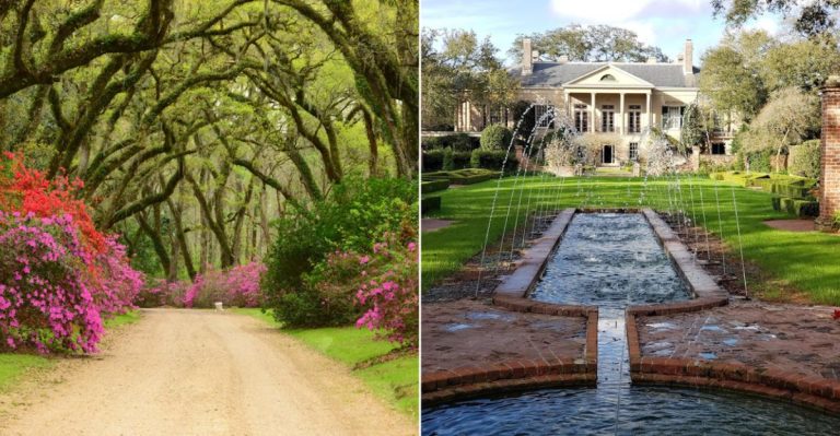 9 Louisiana Garden Escapes Where Historic Homes, Roaming Peacocks, And Shady Paths Feel Almost Dreamlike