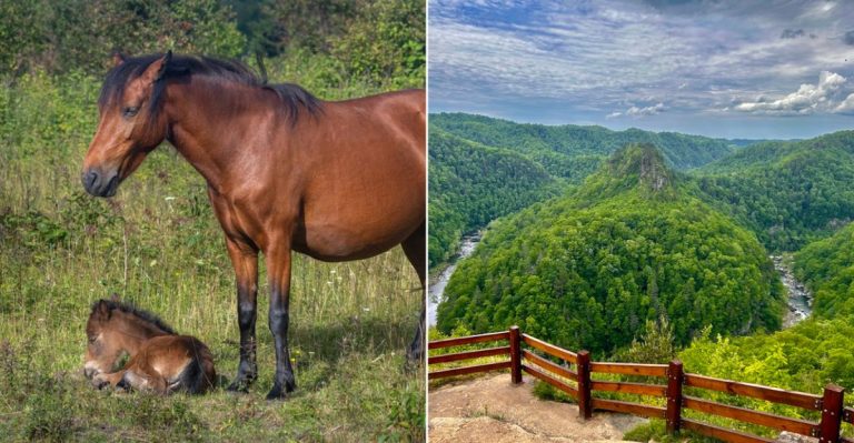 9 Most Underrated Day Trips In Virginia That Deserve A Spot On Your Summer List